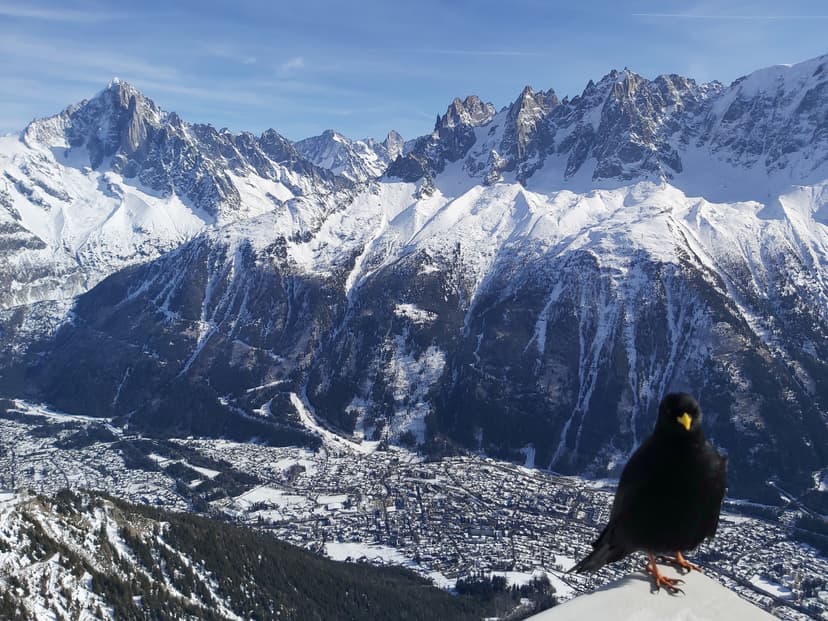 Chamonix village and mountains